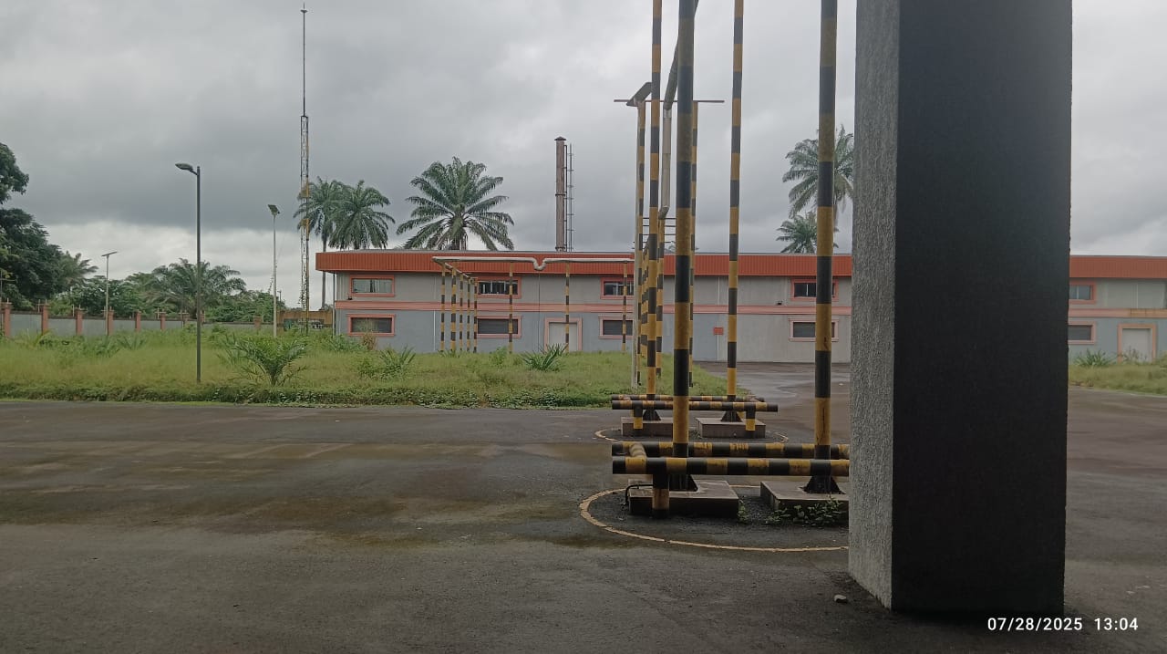 Verdant Acres Aerial Plantation