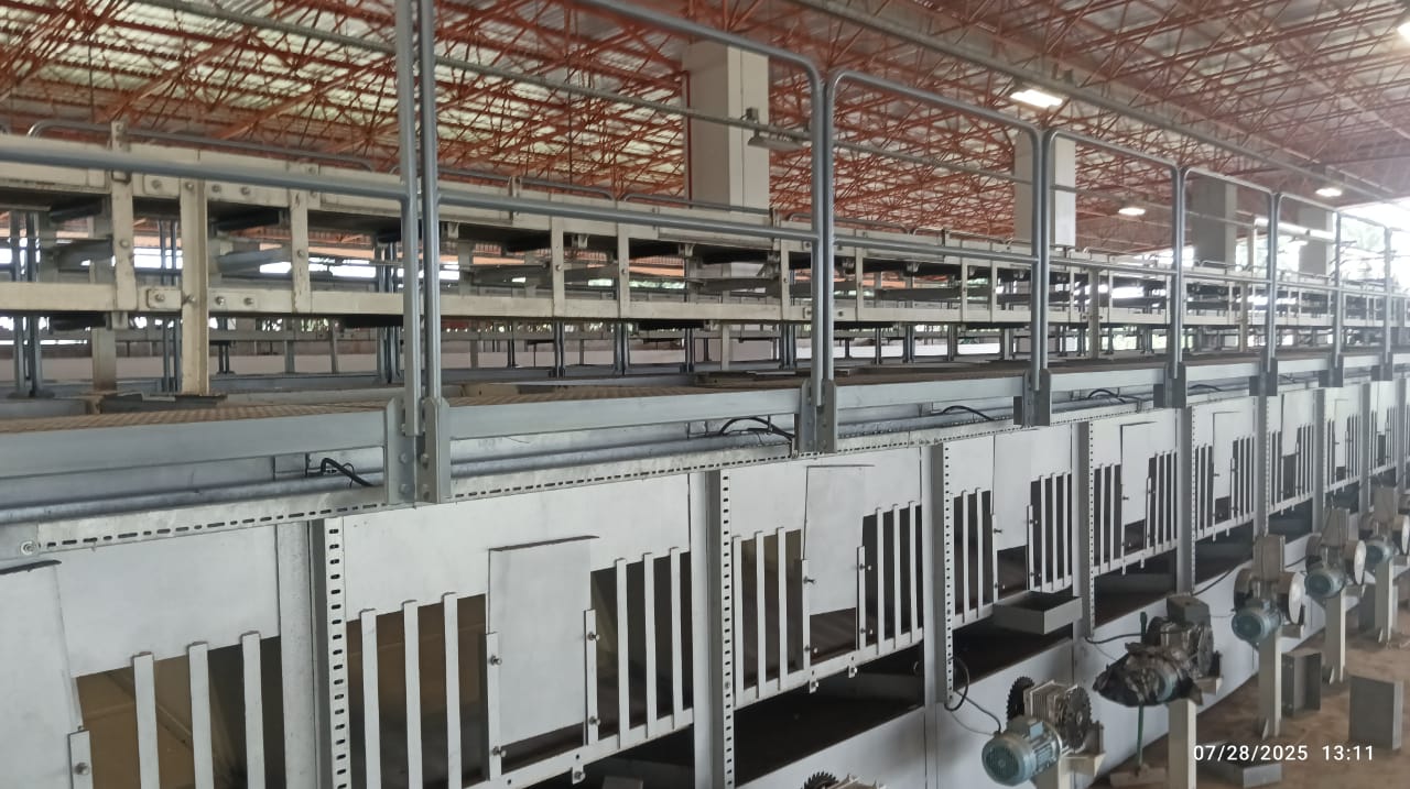 Aerial view of the Verdant Acres coconut plantation.